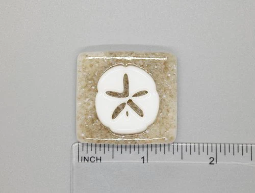 A sand dollar is shown on the side of a square.