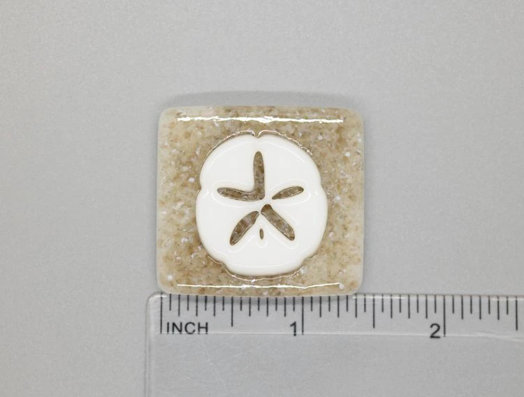 A sand dollar is shown on the side of a square.