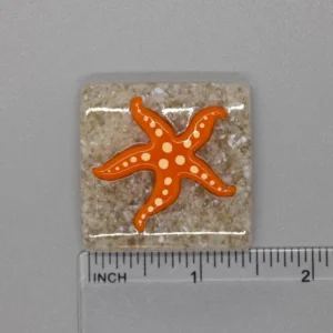 A square shaped tile with an orange starfish on it.