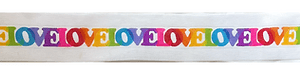 Love Love Love Belt