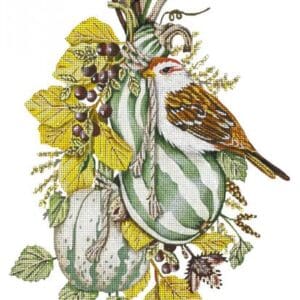 Autumn Squash