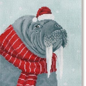 Walrus with a Scarf