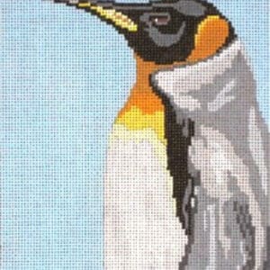 King Penguin
