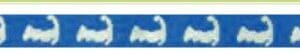Cape Cod Belt Blue