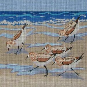 Sand Pipers