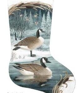 Canada Geese Stocking