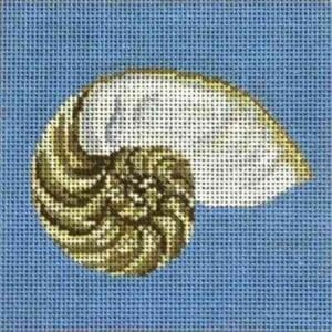 Nautilus Shell