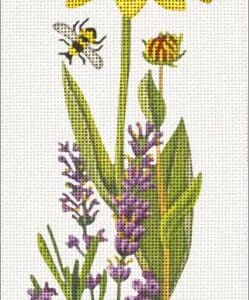 Bee Floral with Daisy
