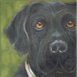 Black Lab